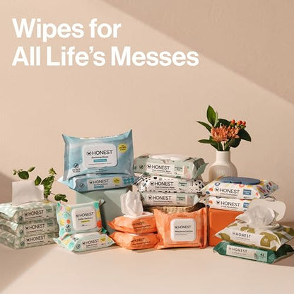 The Honest Company Unscented Wipes