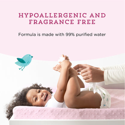 Amazon Brand - Mama Bear 99% Water Baby Wipes, Hypoallergenic, Fragrance Free